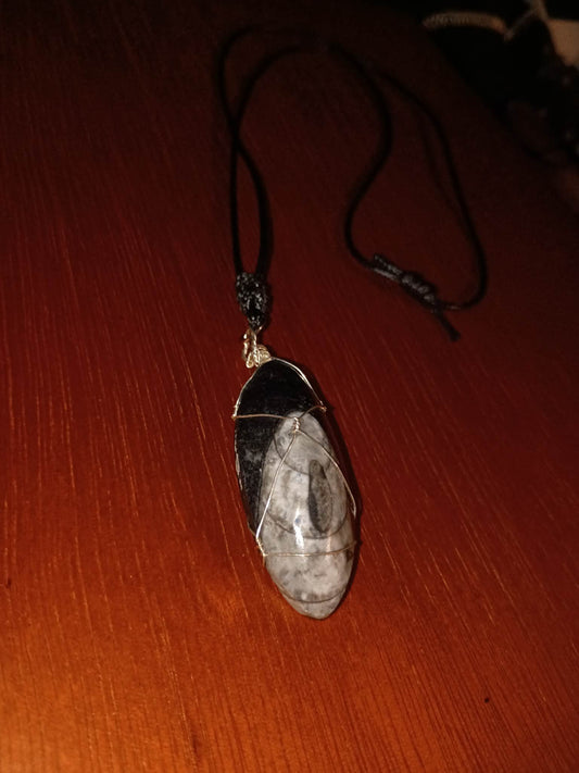 Orthoceras fossil pendant on a black cord necklace